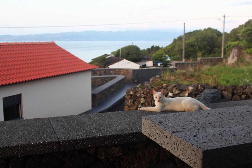 Vila Paim Santo Antonio  Exteriér fotografie